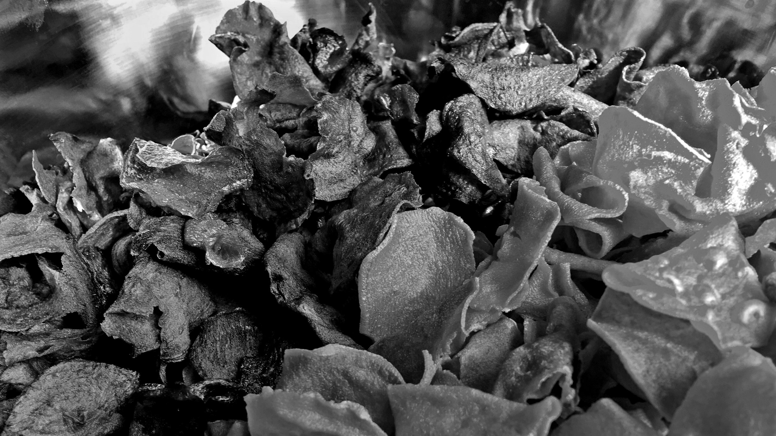 Catering_Food_04_Cékla_És_Édesburgonya_Chips_2560x1440_BW.jpg